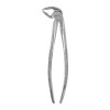 Berten Extracting Forceps Fig.13 A, lower incisors