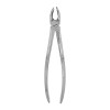 Berten Extracting Forceps Fig. 18, upper molars