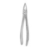 Berten Extracting Forceps Fig. 29, upper roots