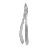 Berten Extracting Forceps Fig. 30, upper roots