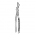 Berten Extracting Forceps Fig. 31, upper premorals