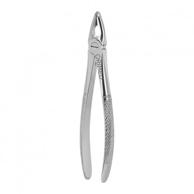 Berten Extracting Forceps Fig. 34, upper incisors and premolars