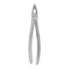 Berten Extracting Forceps Fig. 34, upper incisors and premolars