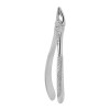 Berten Extracting Forceps Fig. 35, upper premolars