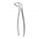 Berten Extracting Forceps Fig. 36, lower premolars