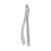 Berten Extracting Forceps Fig. 39 R, upper molars