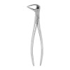 Berten Extracting Forceps Fig. 74, lower roots