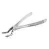 Berten Extracting Forceps Fig. 31, upper premorals