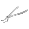 Berten Extracting Forceps Fig. 51 A, upper roots