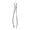 Berten Extracting Forceps Fig. 90, upper molars