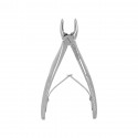 Berten Extracting Forceps Fig. 560, primary teeth, upper incisors