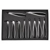 Berten extraction forceps set, 10 pcs, ergonomic handle